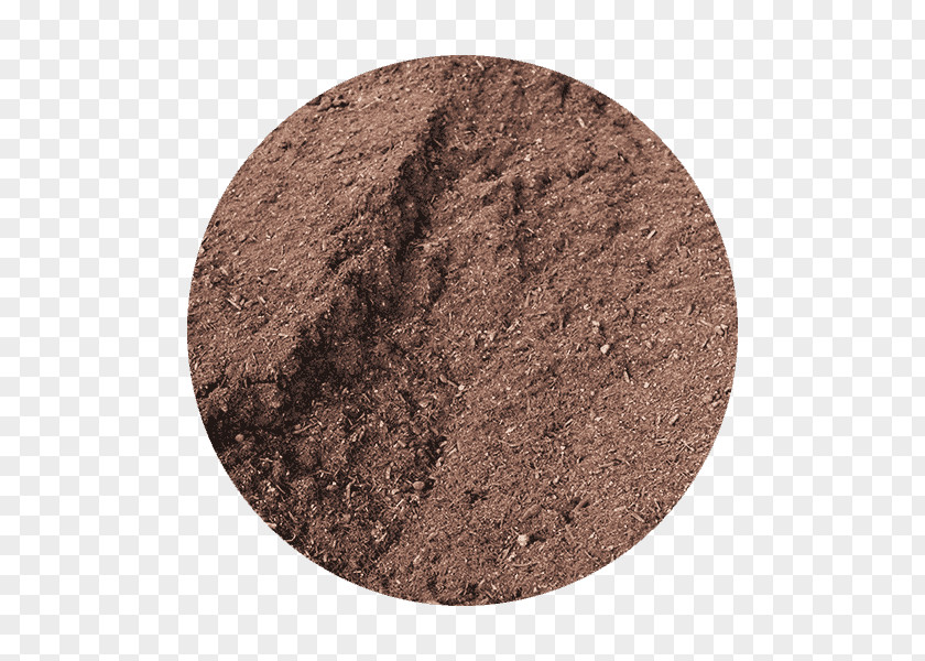 Pollution Free Soil Eggs PNG