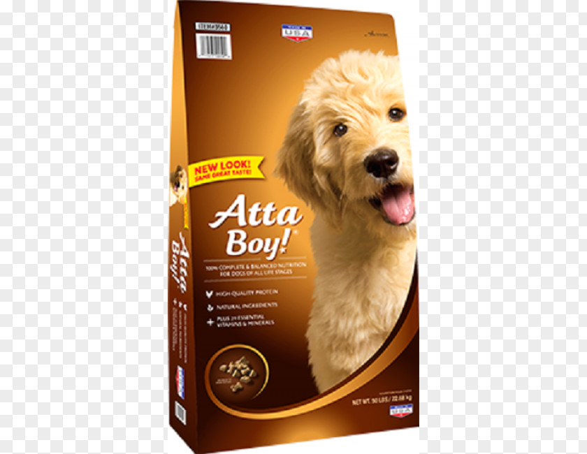 Puppy Goldendoodle Dog Food Nutro Products Pet PNG