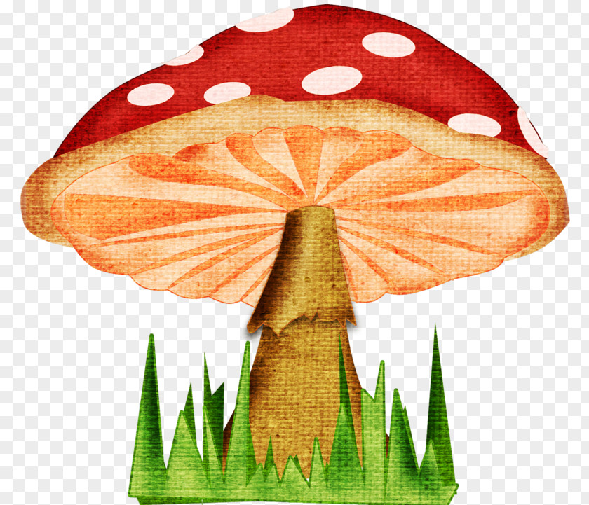 Cartoon Big Mushrooms Mushroom Fungus Drawing PNG