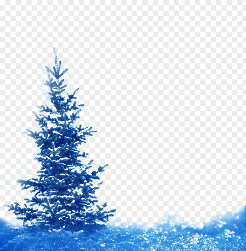 Fantasy Blue Snowflake Pine Festive Decorations Spruce Fir Winter Snow Landscape PNG