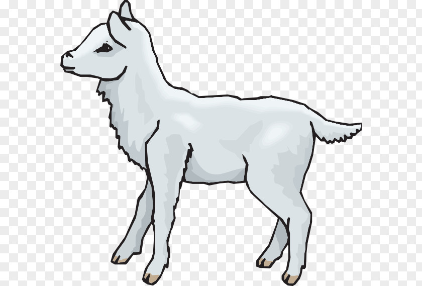 Lamb Sheep And Mutton Goat Clip Art PNG