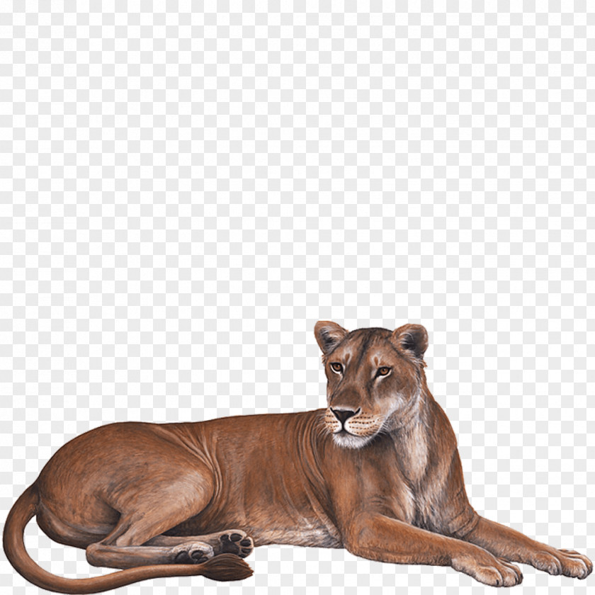 Lion Wall Decal Sticker PNG