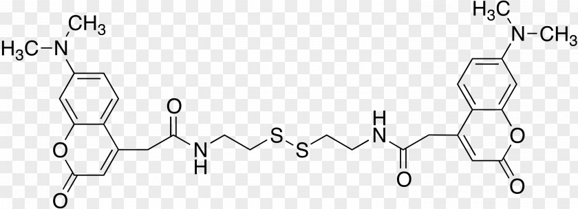 Protein Kinase Inhibitor Enzyme Adenosine Triphosphate PNG