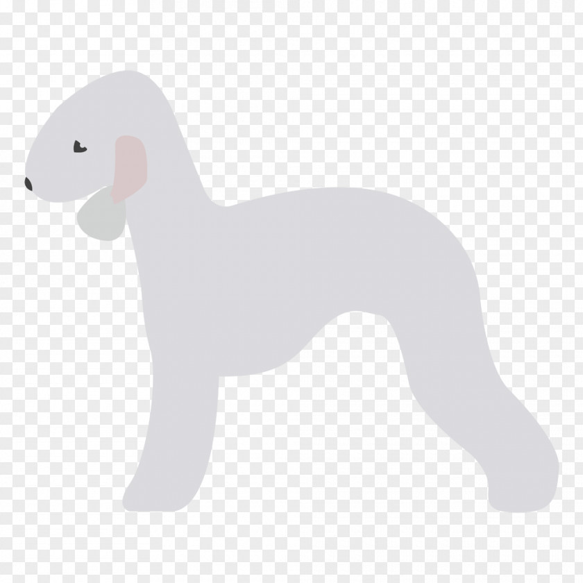 Puppy Italian Greyhound Dog Breed Whippet Spanish PNG