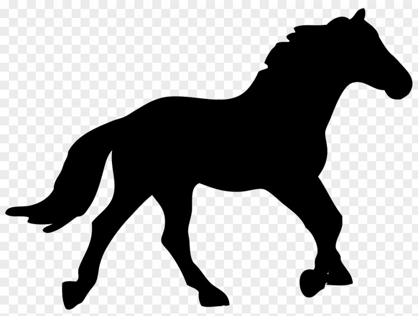 Silhouette American Quarter Horse Equestrian Clip Art PNG