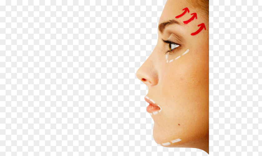 Woman Face Surgery Nose Stock Photography Rhinoplasty PNG