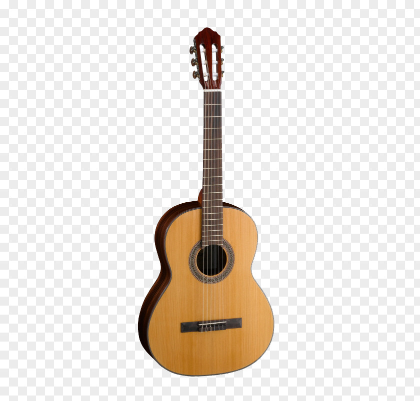 Guitar Alhambra Classical Flamenco Acoustic PNG