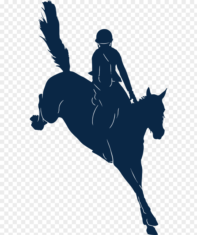 Las Vegas Arabian Horse Stallion English Riding Equestrian PNG