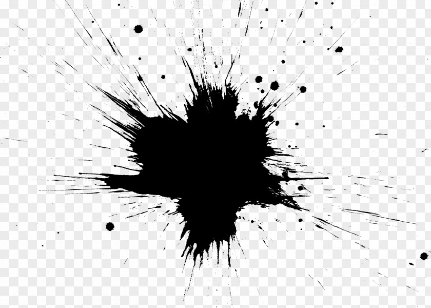 Paint Splash Black And White Monochrome Photography PNG