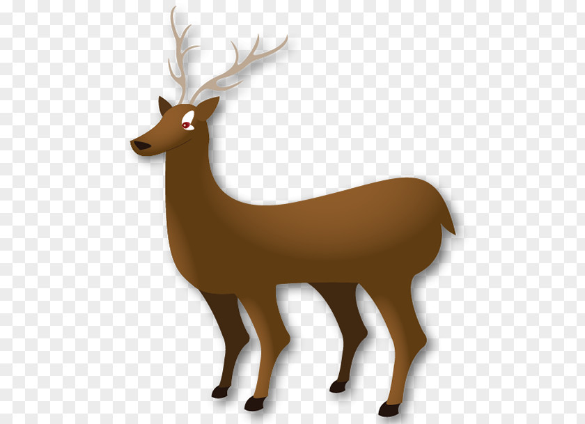 Reindeer Elk Antler Wildlife Terrestrial Animal PNG