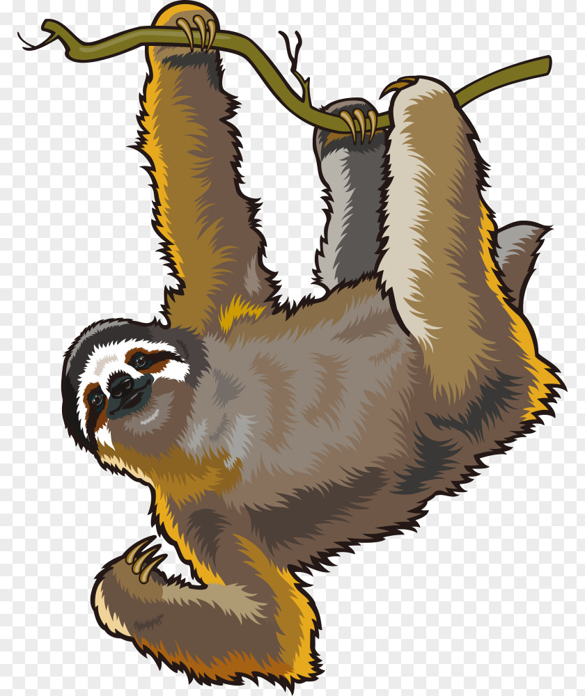 Vector Golden Monkey Sloth Cartoon Clip Art PNG
