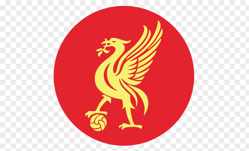 Football Liverpool F.C. Women Anfield UEFA Champions League PNG