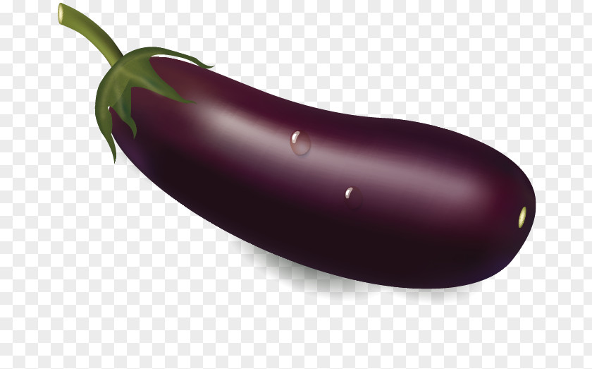 Hand-painted Vegetable Vector Fruit English Eggplant Language PNG
