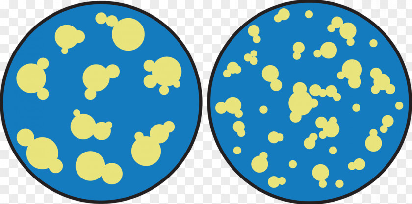 Milk Cream Fat Globule Membrane Globules Of Homogenization PNG