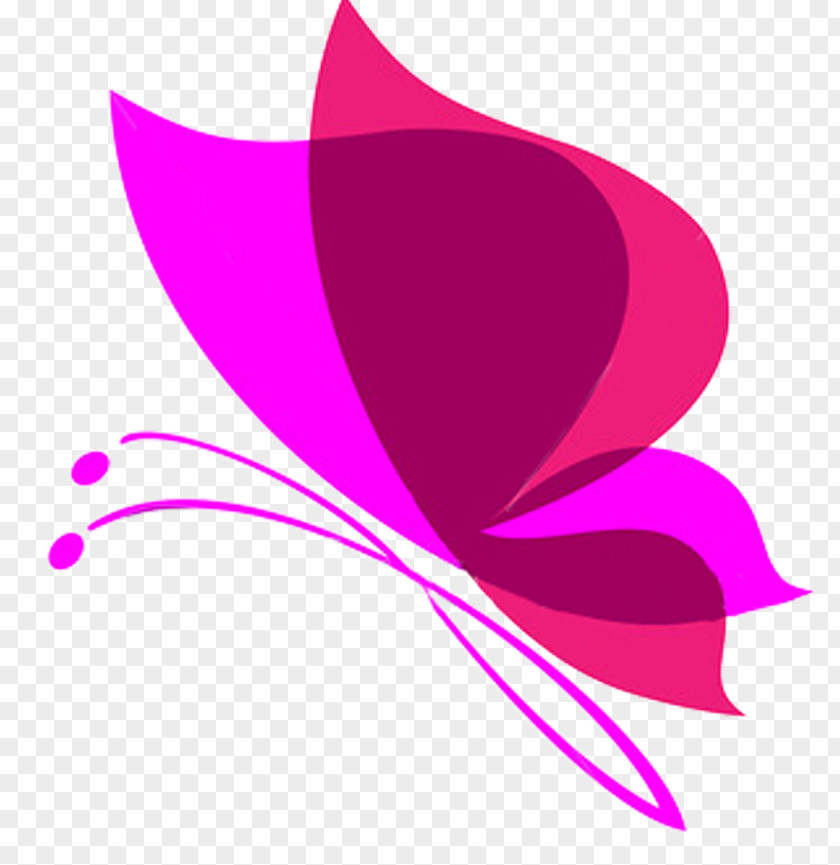 Pink Butterfly Transparent Background Drawing PNG