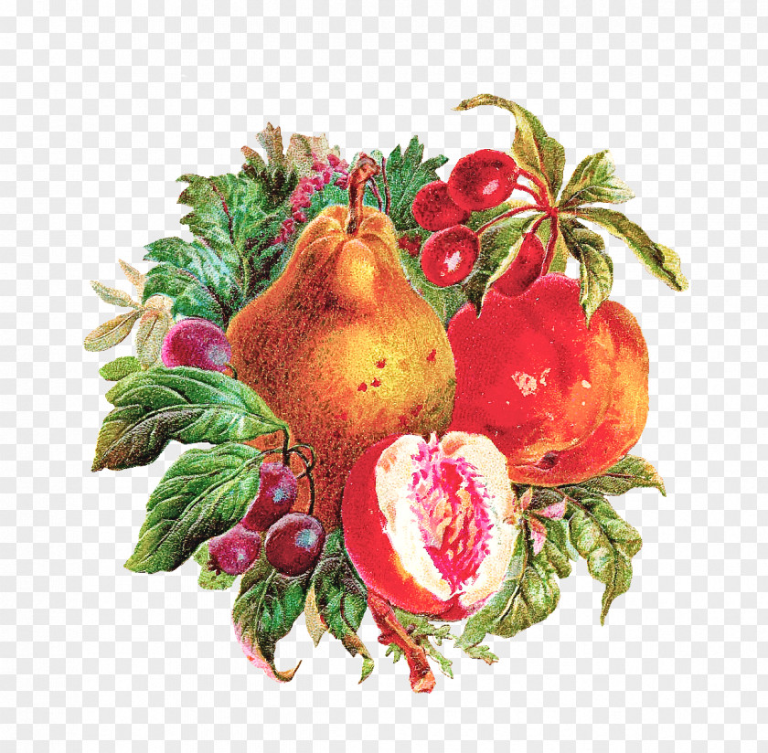 Pomegranate Natural Foods Fruit Plant Food PNG