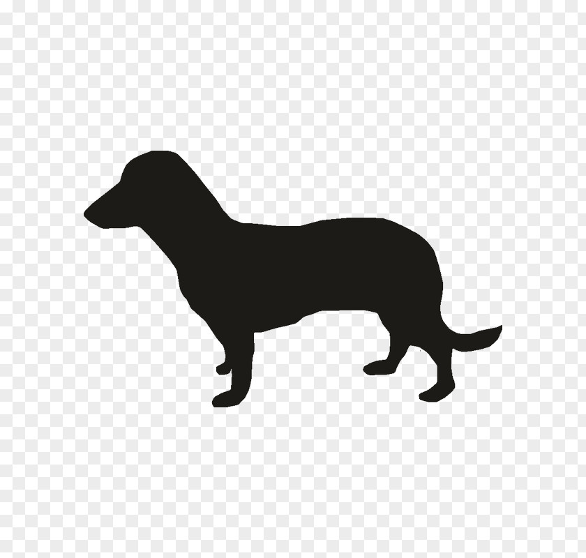Puppy Miniature Dachshund Vector Graphics Dog Breed PNG