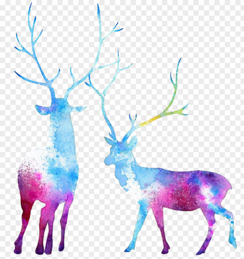 Watercolor Animals Reindeer Elk Moose Painting PNG