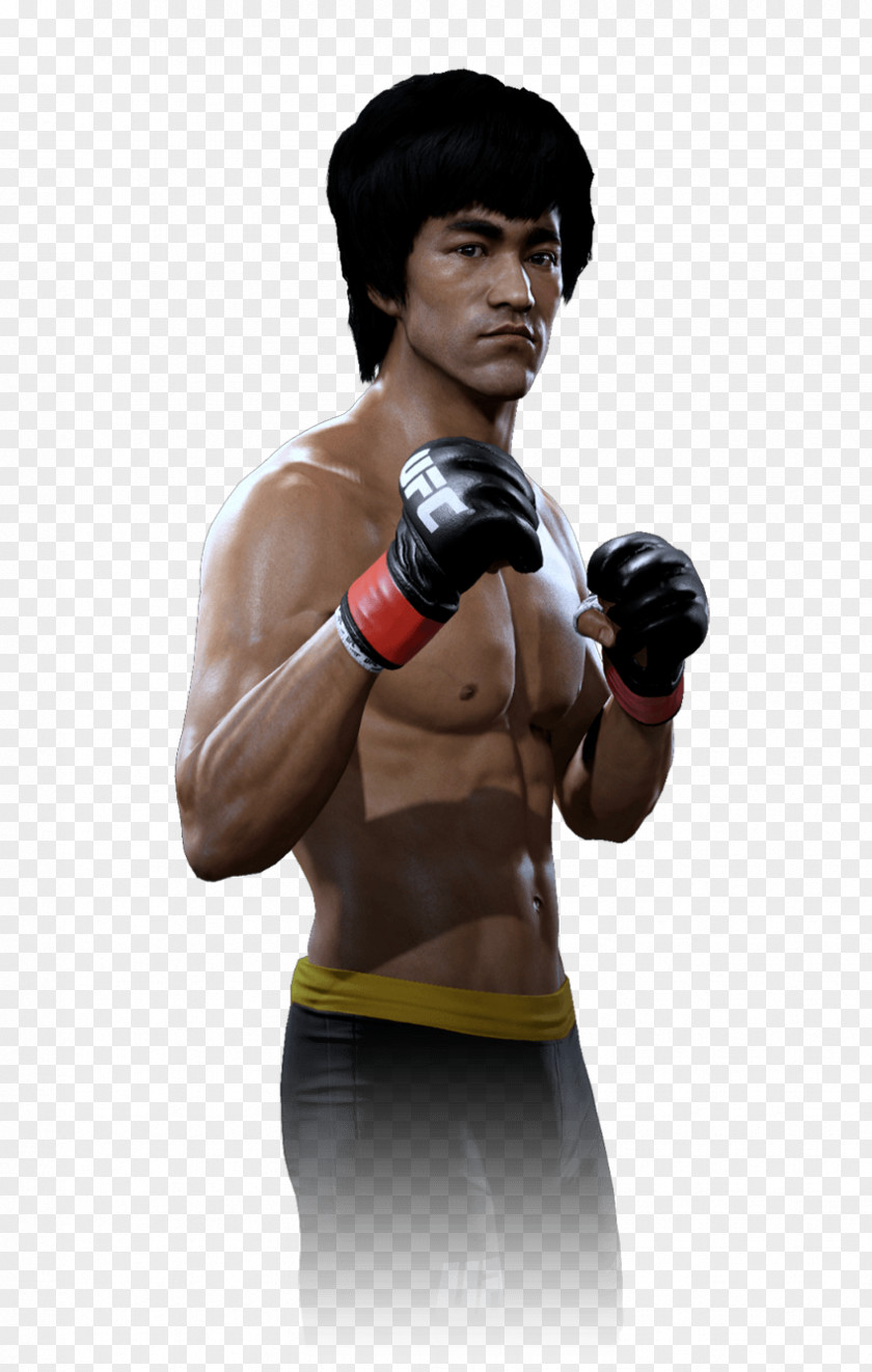 Bruce Lee Kazushi Sakuraba EA Sports UFC 2 8: David Vs. Goliath Boxing Glove PNG
