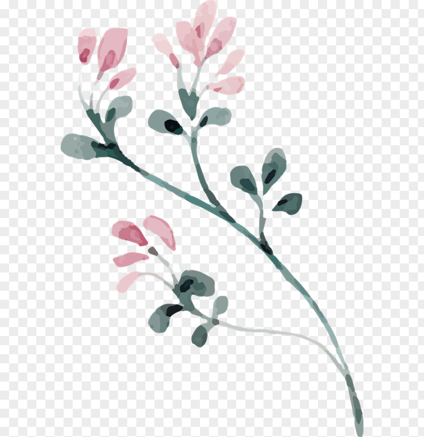 Flower Petal Floral Design Wreath PNG
