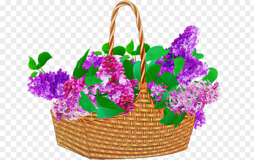 Flowerpot Flower Violet Plant Magenta PNG