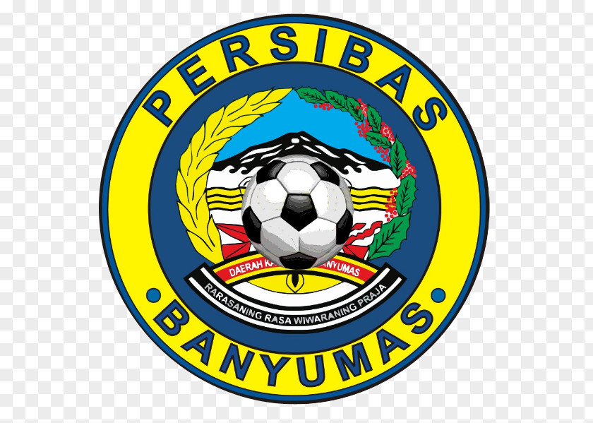 Football Persibas Banyumas Purwokerto PSCS Cilacap Persibangga Purbalingga 2017 Liga 2 PNG