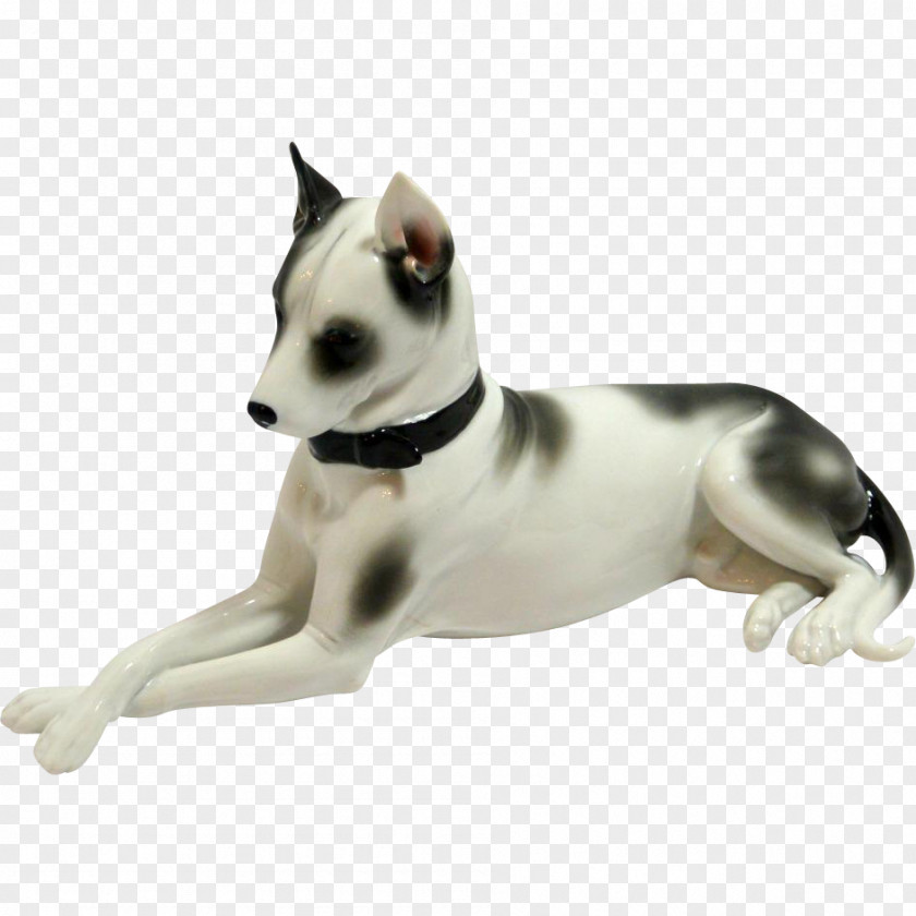 Rat & Mouse Terrier Whippet Italian Greyhound Canaan Dog PNG