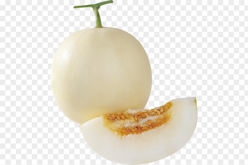 White Melon Cantaloupe Honeydew Seed Cucumber PNG