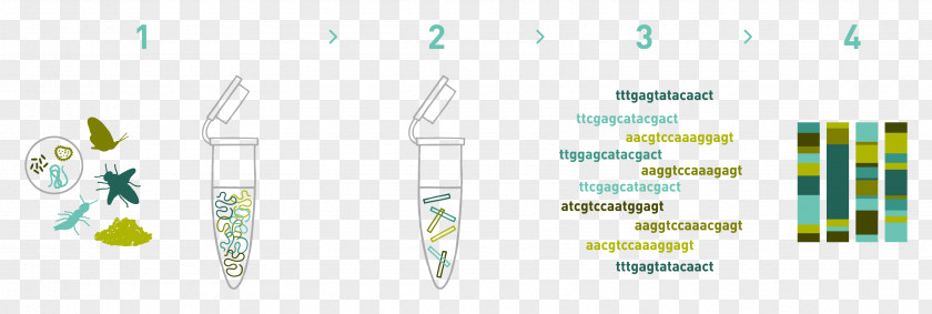 DNA Barcoding Extraction Metagenomics Sequencing PNG
