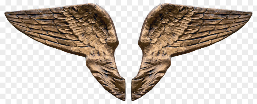 Jo Image Angel Wing Download 3D Computer Graphics PNG