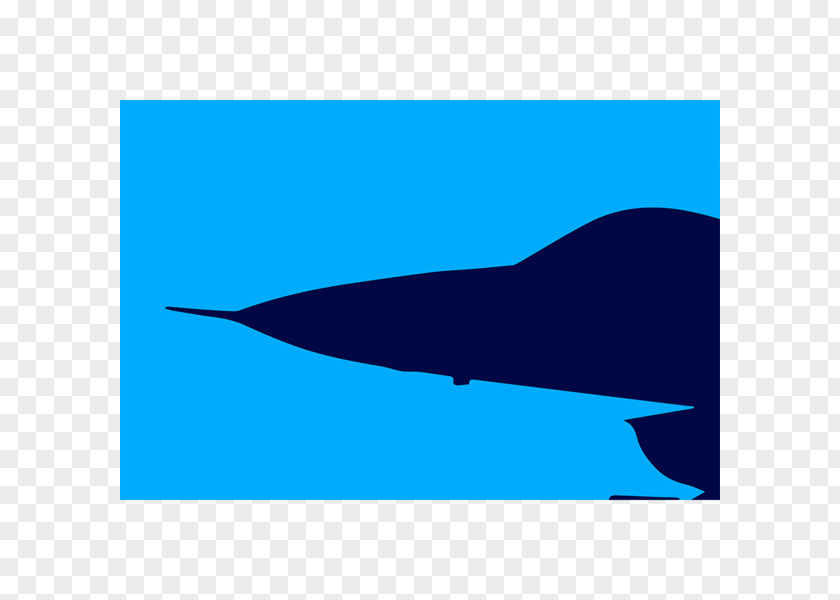 Nose Dolphin Shark Electric Blue Marine Mammal Cobalt PNG