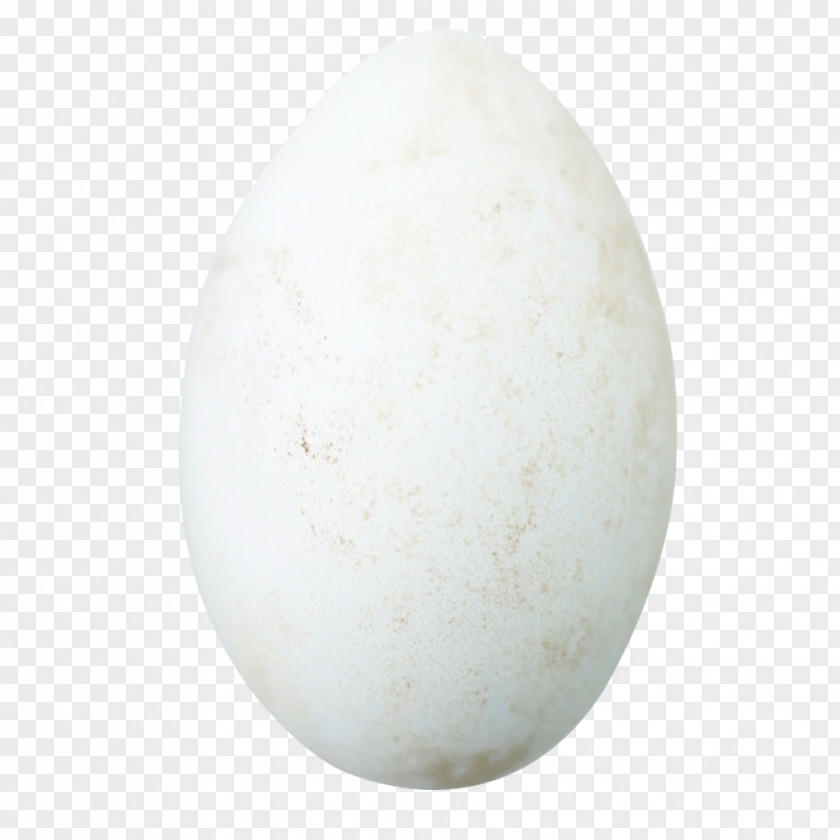 A Goose Egg Domestic Duck PNG