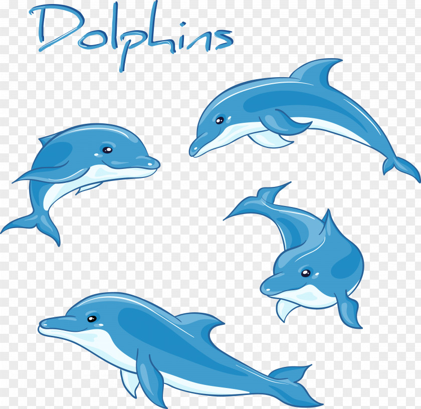 Decorative Dolphin Variety Of Positions Cartoon Drawing Royalty-free PNG