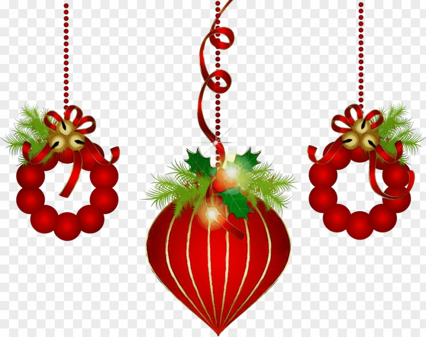 Interior Design Plant Christmas Ornament PNG