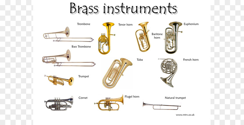 Musical Instruments Brass Family Trumpet Bugle PNG