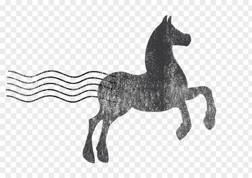 Mustang Pony Mule Equestrian Stallion PNG