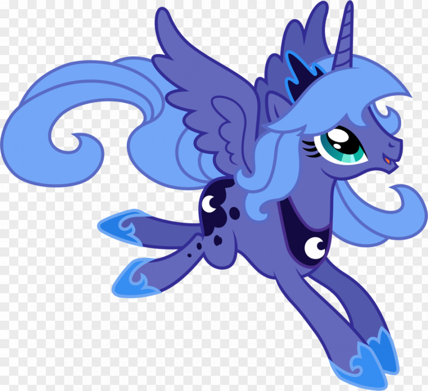 Princess Luna Rainbow Dash Pony PNG