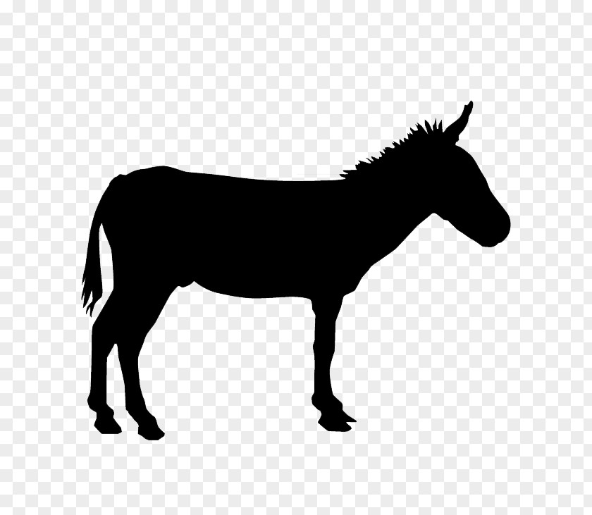Realistic Black Donkey Silhouette Vector Material Drawing PNG