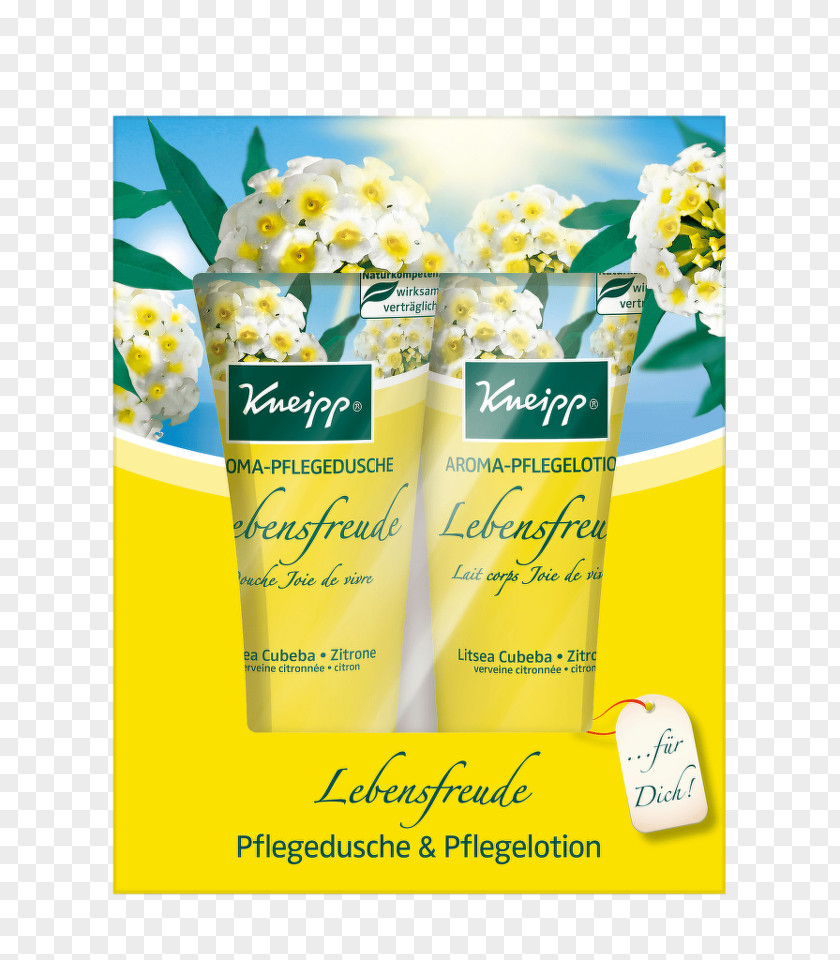 Shampoo Lotion Kneipp Cofanetto Regalo Pura Gioia Di Vivere 1 Stück Skin Care Duschpflege Aroma Shower Gel “Eingekuschelt” Joie De Vivre 200 Ml Enjoy Life Gift Set Beauty PNG