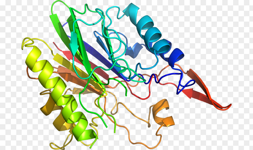 Acute-phase Protein Bioinformatics DNA Structure PNG