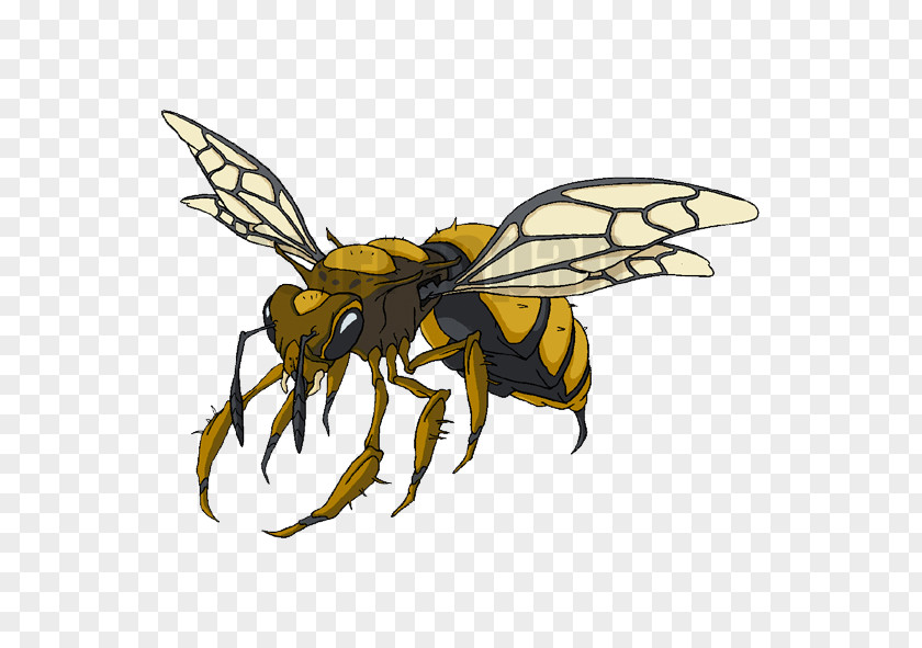Black Hole Comic Mutation Queen Bee Insect Image Butterfly PNG