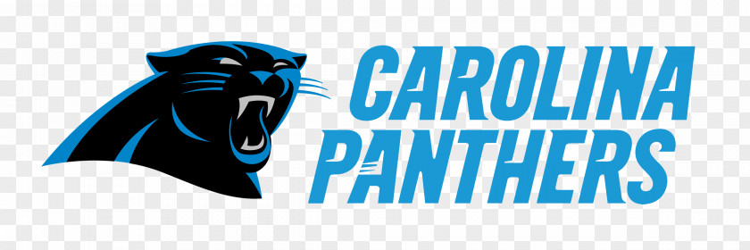 Cam Newton 2016 Carolina Panthers Season NFL New England Patriots Orleans Saints PNG