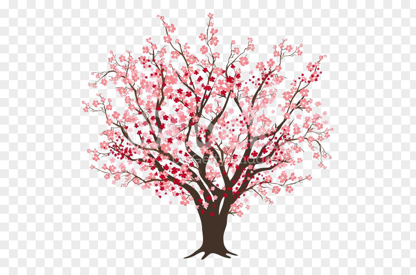 Cartoon Cherry Tree Blossom Clip Art PNG