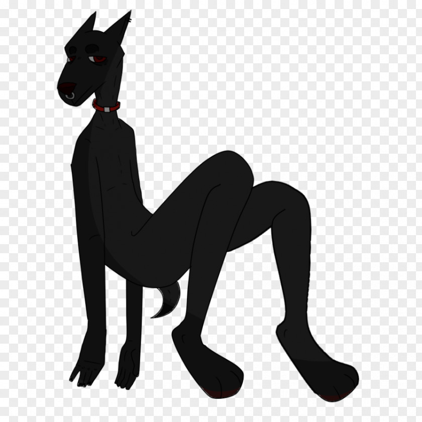 Cat Dog Mustang Donkey Pack Animal PNG