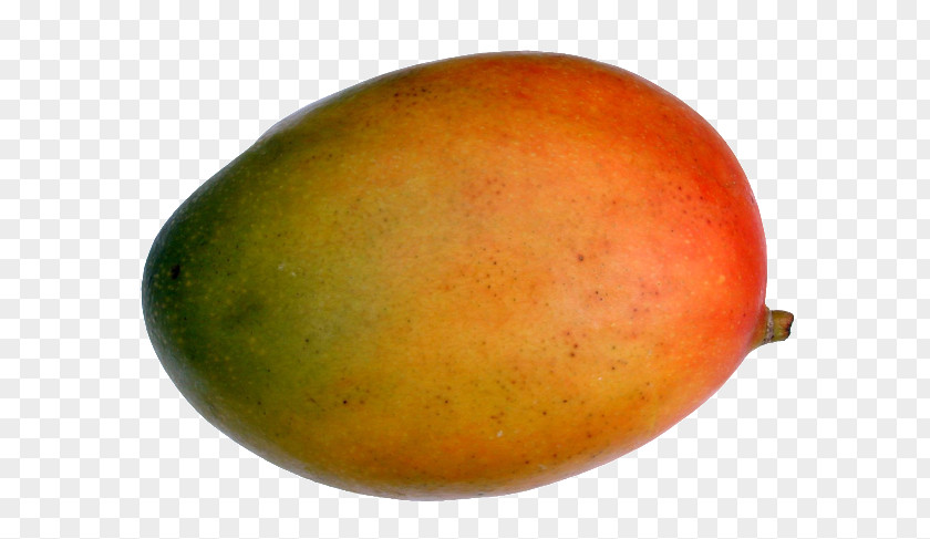 Mango Apple Fruit Icon PNG