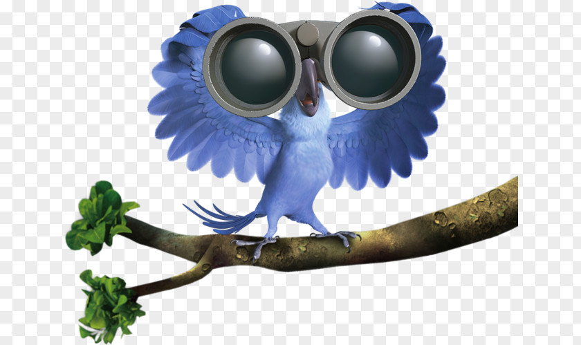 Parrot Blu Txfalio Rio Cinema Clip Art PNG