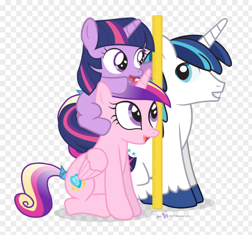 Thaller Than Thall Twilight Sparkle Rainbow Dash Rarity Pony Pinkie Pie PNG