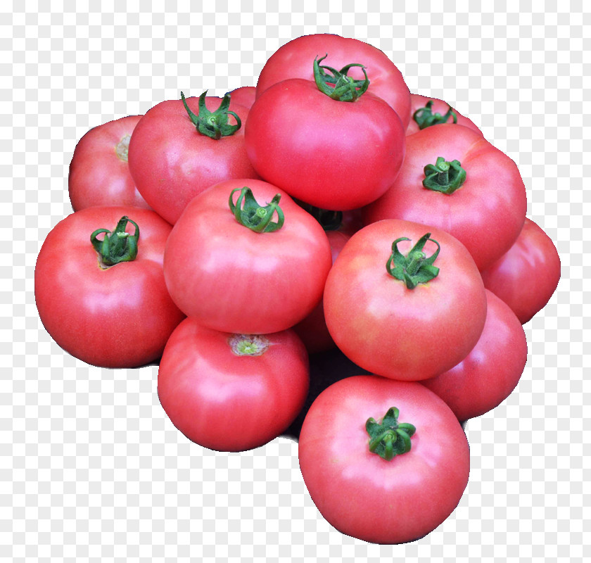 Tomato Plum Bush Heirloom Determinate Cultivar PNG