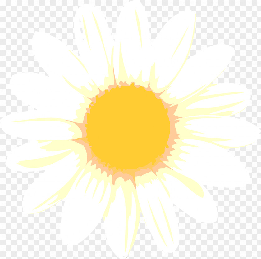 Vector Sunflower M Desktop Wallpaper Computer Font PNG