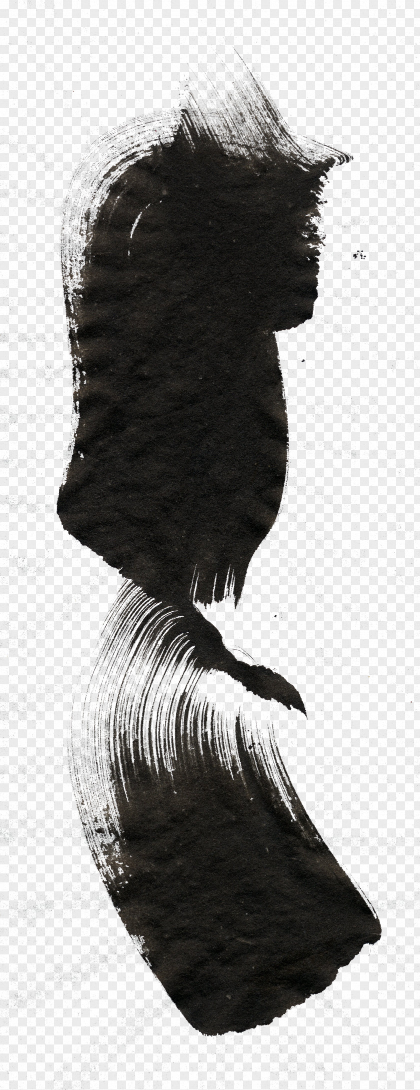 Black Hair Strokes And White Ink Brush PNG